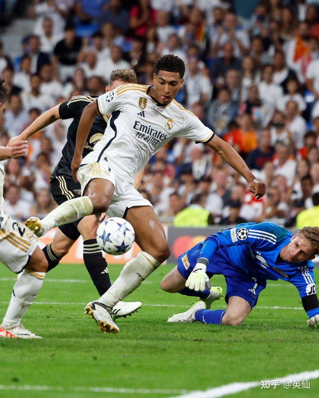 仅引发了粉 仅引发了粉